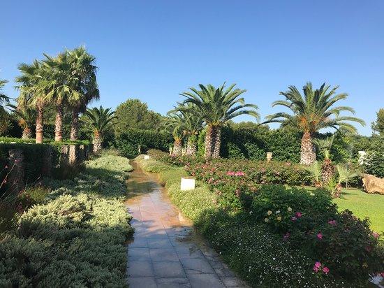 Tenuta La Corte