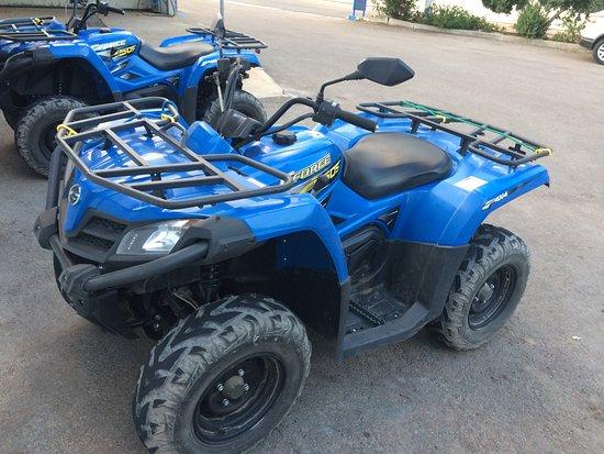 Escursioni Quad Baunei